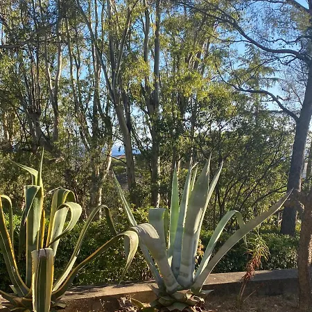 Val D'or * Сен-Рафаэль