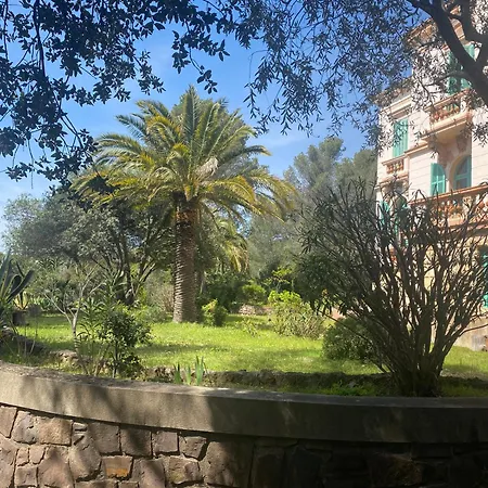 Val D'or Saint-Raphaël