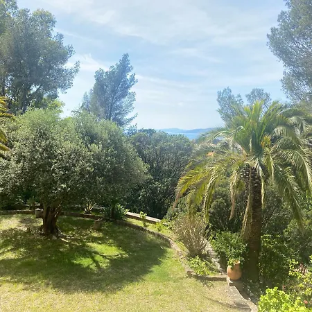 Val D'or *