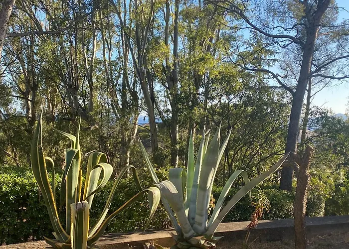 Val D'or * Saint-Raphaël